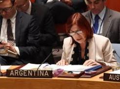 Argentina's ambassador to the UN speaks during a Security Council meeting. © STAN HONDA/AFP/Getty Images